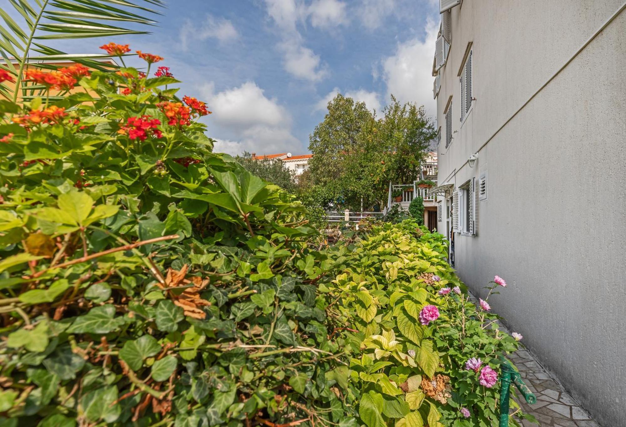 Apartment Ive Mlini Eksteriør bilde
